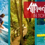 attractions in tofino