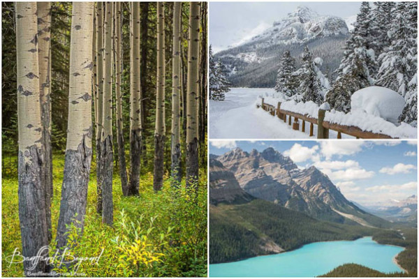 Visiting Canada In June, Best Time For Jazz Lovers and Hikers