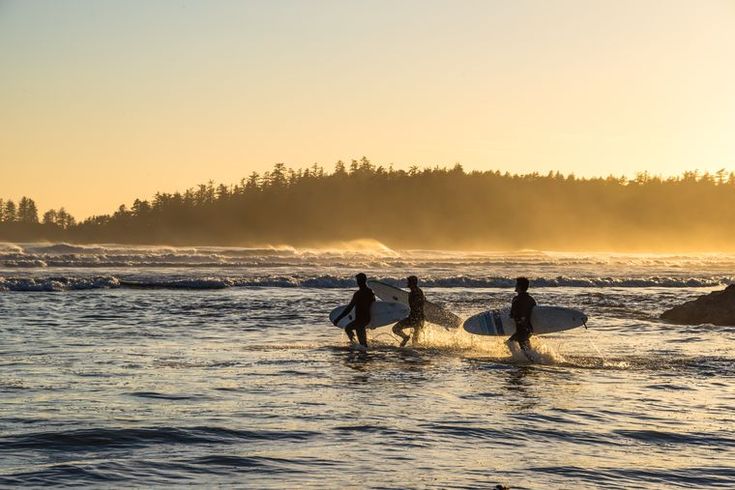 Best Interesting Facts about Tofino BC