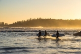 10 Best Interesting Facts about Tofino BC