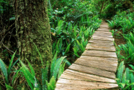 10 Top-Rated Hiking Trails in Tofino