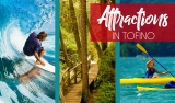 Tofino Attractions – A Detailed Guide for Tourists